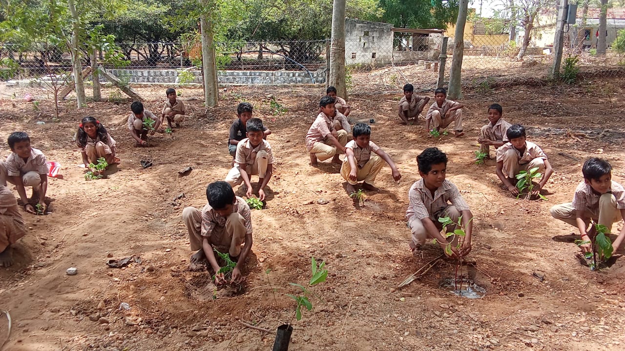 Tree planting initiative by Helper's India Link Educational Trust volunteers